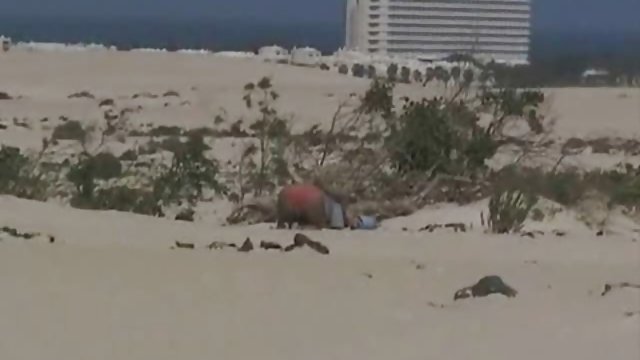 Le ofrecemos dinero por grabar una escena de sexo casero ...