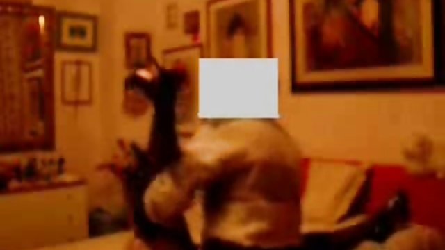 Culona latina meneando el trasero con una polla dentro